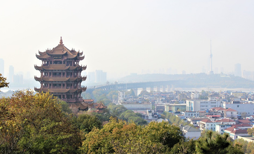 最新地图轮换报告解析与影响分析